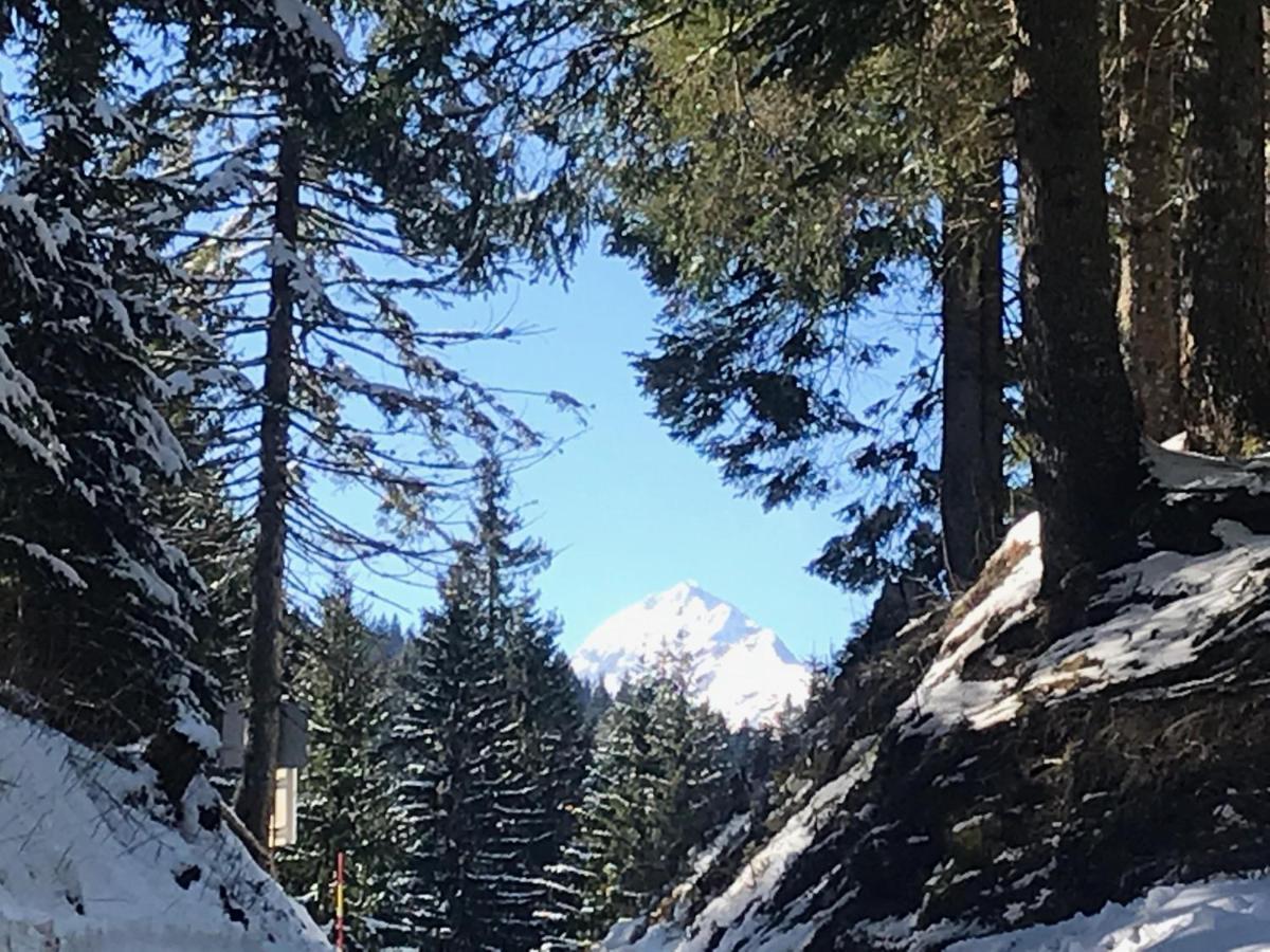 Chalet Stara Jelka Pokljuka Zgornje Gorje Exteriör bild