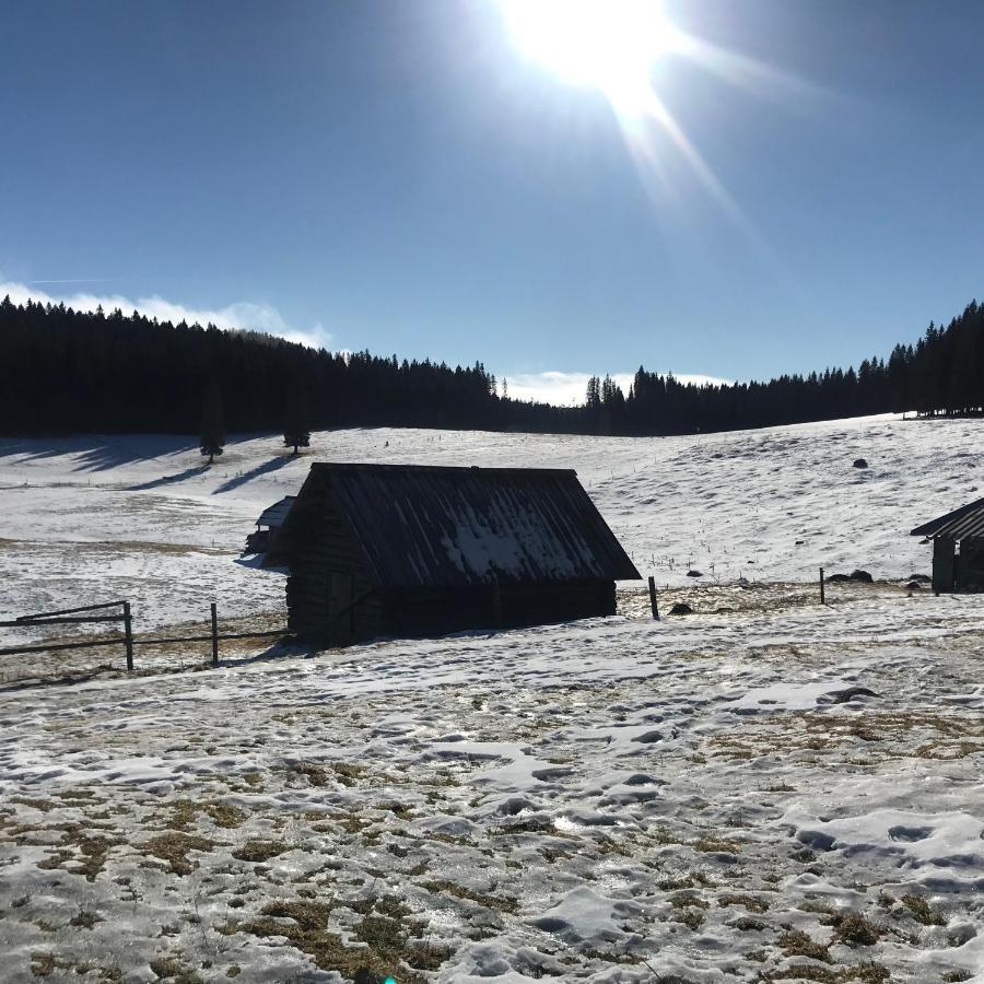 Chalet Stara Jelka Pokljuka Zgornje Gorje Exteriör bild