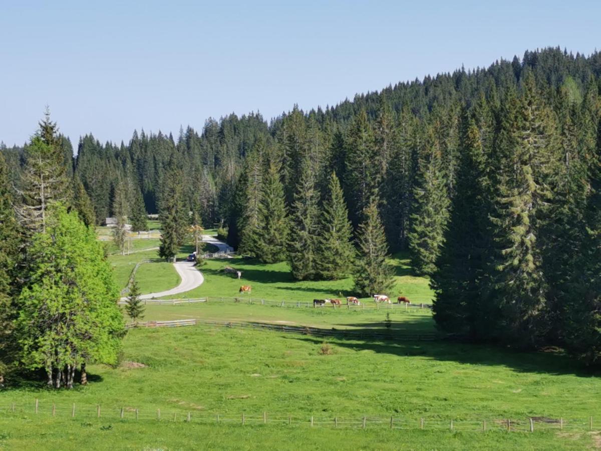 Chalet Stara Jelka Pokljuka Zgornje Gorje Exteriör bild