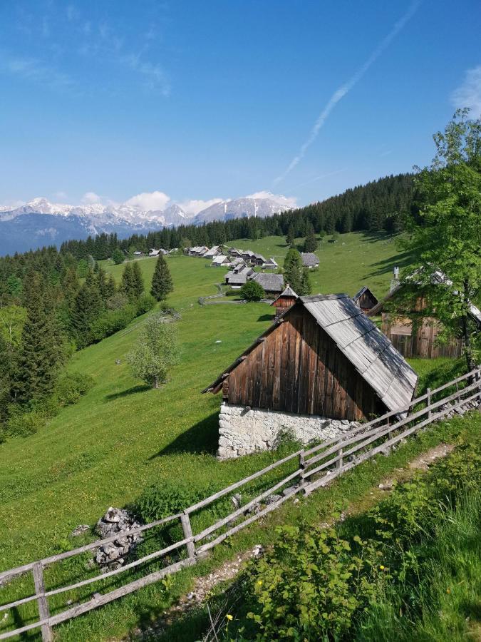 Chalet Stara Jelka Pokljuka Zgornje Gorje Exteriör bild