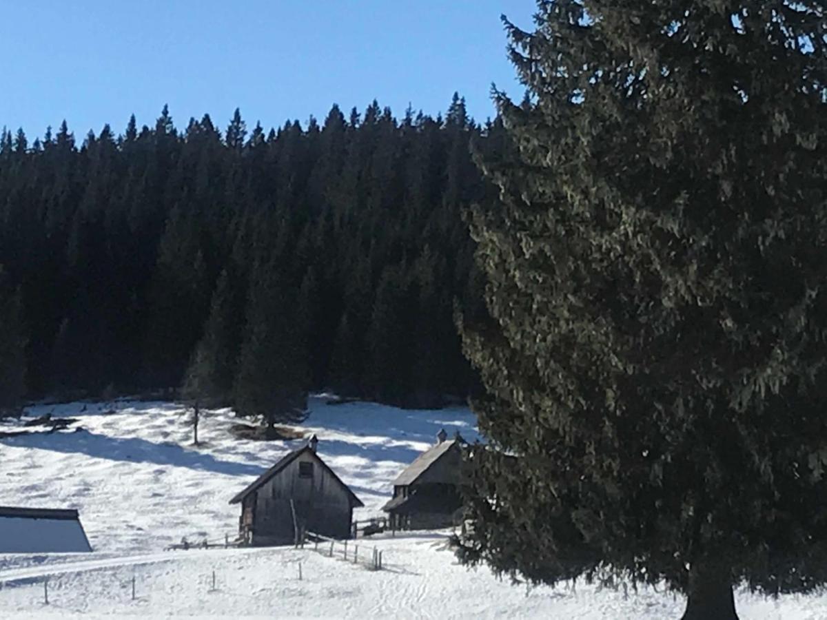 Chalet Stara Jelka Pokljuka Zgornje Gorje Exteriör bild