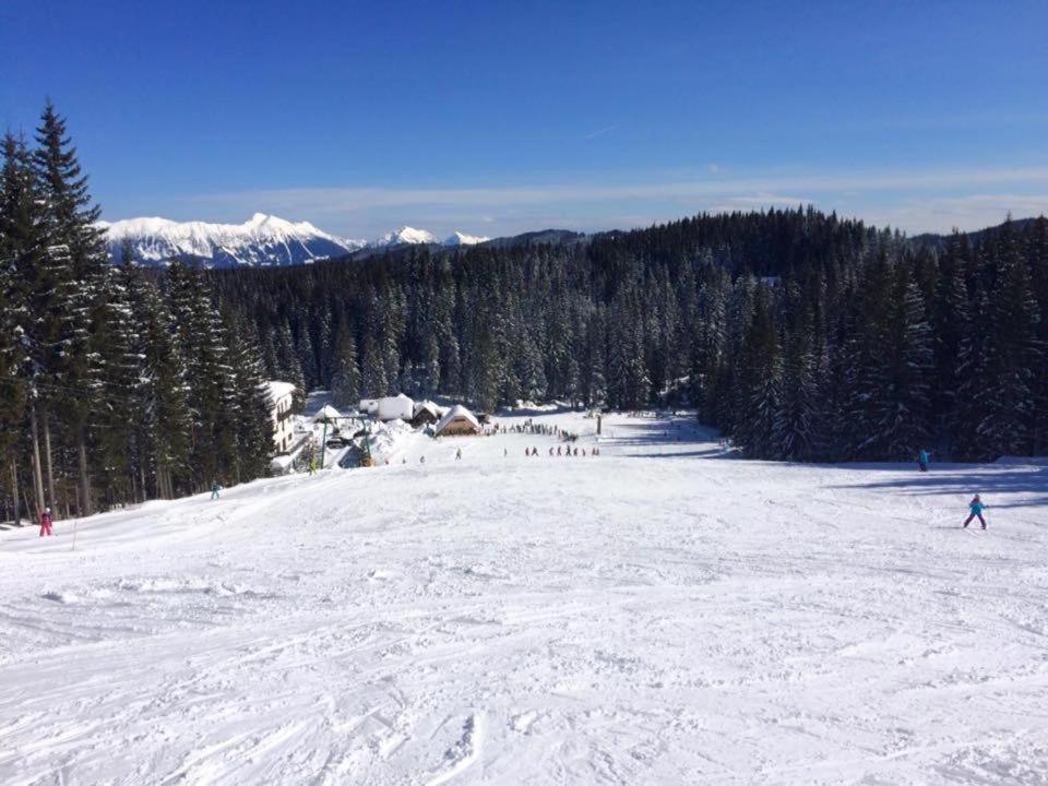 Chalet Stara Jelka Pokljuka Zgornje Gorje Exteriör bild