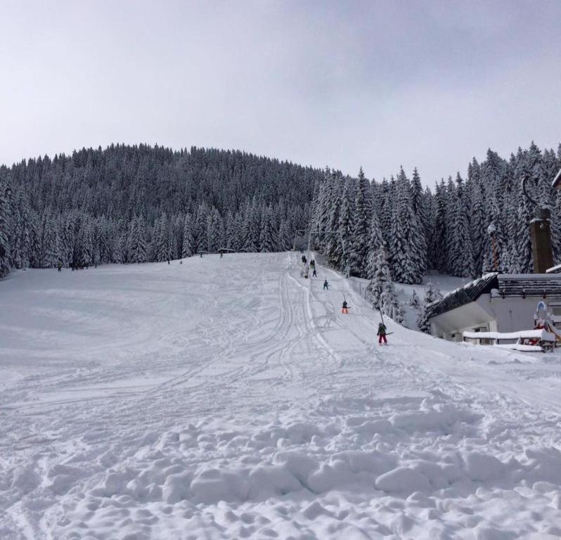 Chalet Stara Jelka Pokljuka Zgornje Gorje Exteriör bild