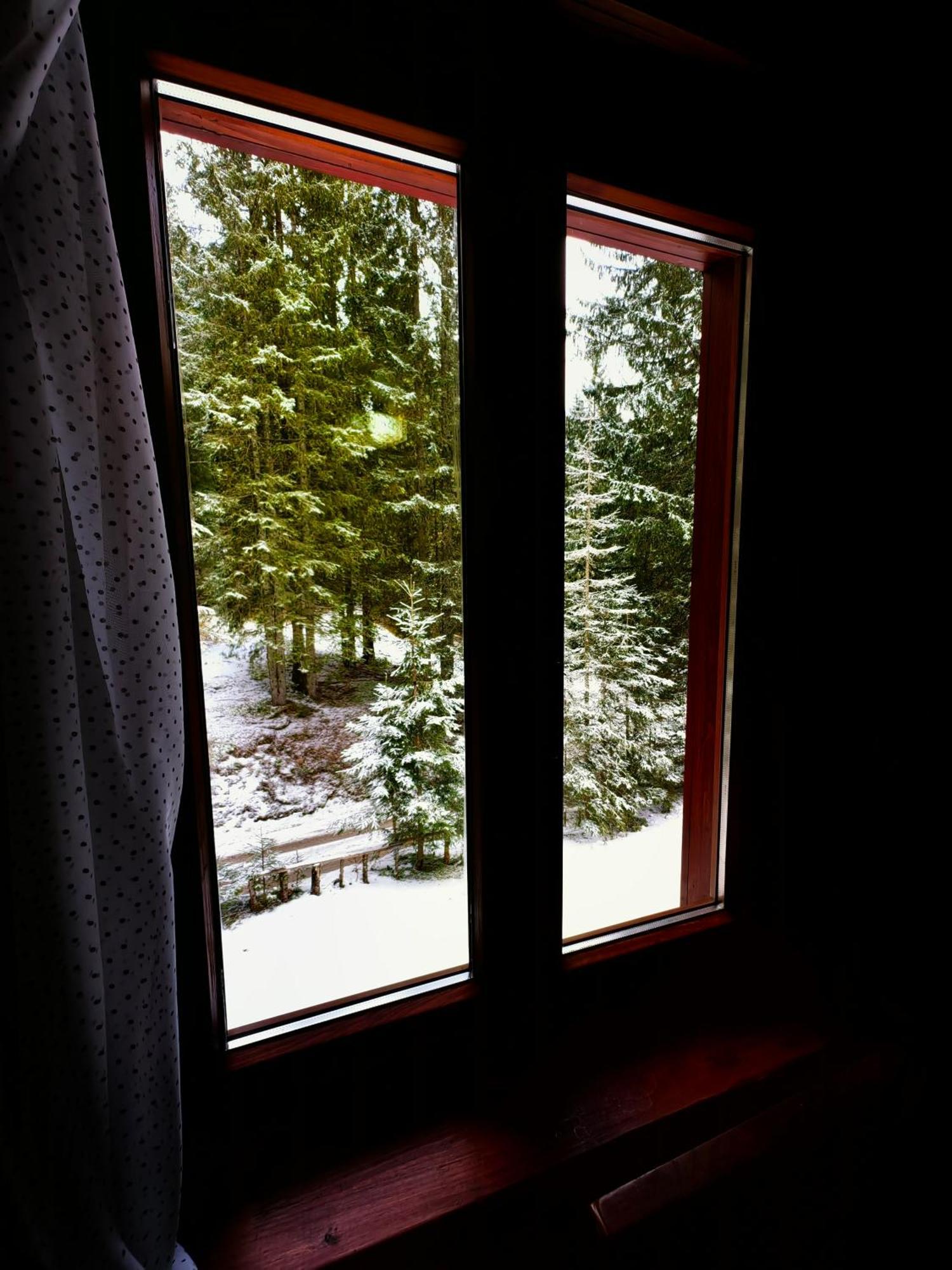 Chalet Stara Jelka Pokljuka Zgornje Gorje Exteriör bild