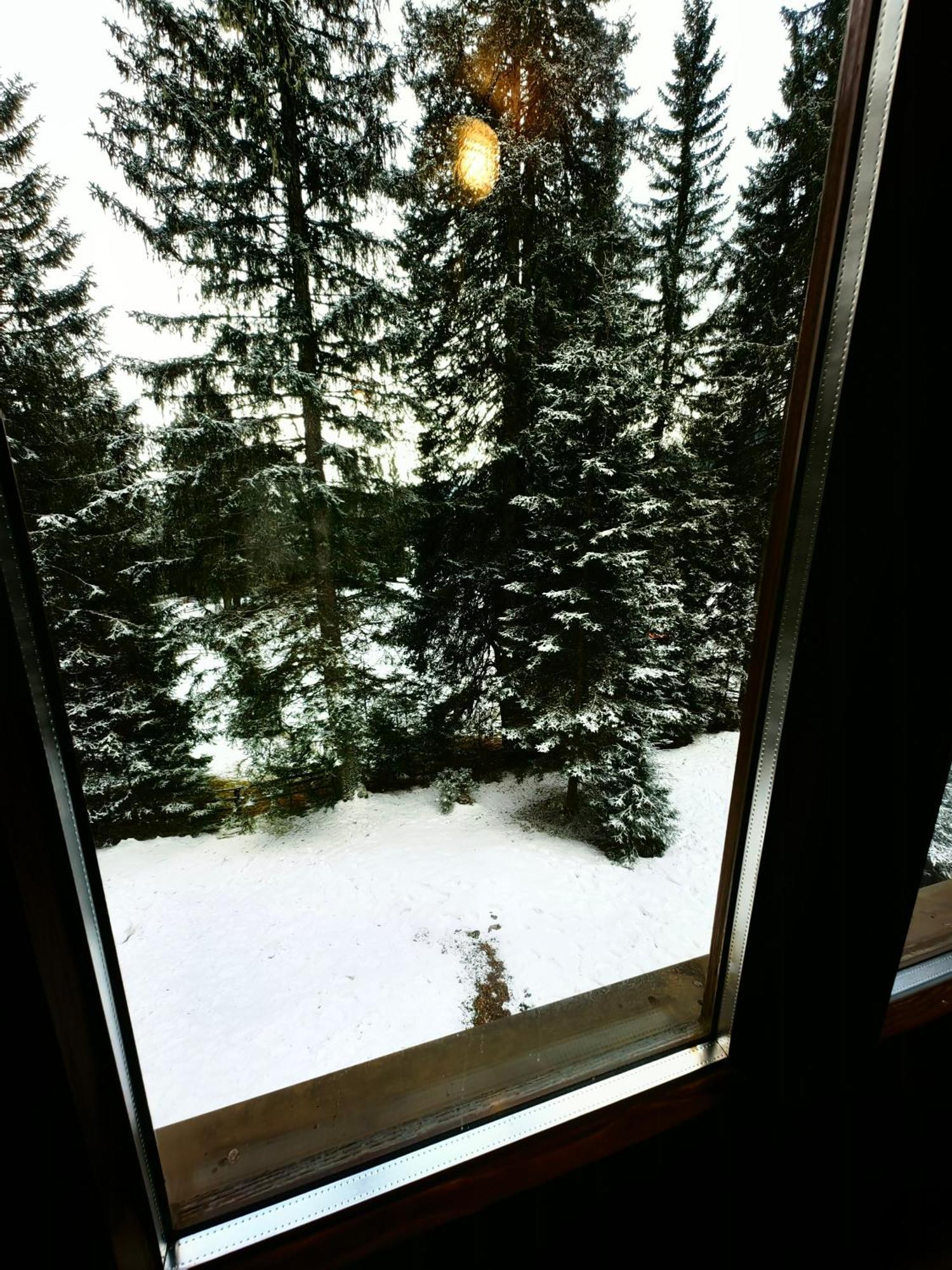 Chalet Stara Jelka Pokljuka Zgornje Gorje Exteriör bild